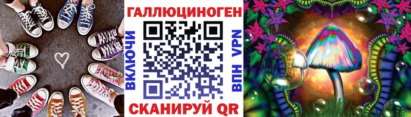 Купить закладки  Южно-Сухокумск  Галлюциногенные грибы мицелий 